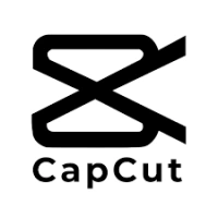 CapCut Premium App | N1000